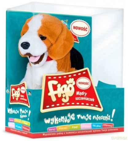 Piesek reagujący na komendy Beagle