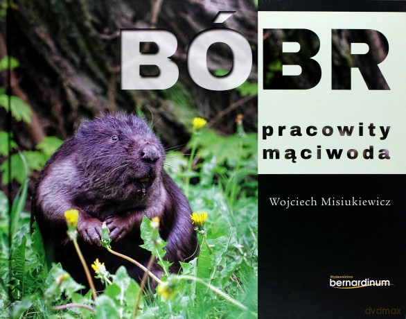 Bóbr pracowity mąciwoda - Wojciech Misiukiewicz [KSIĄŻKA]