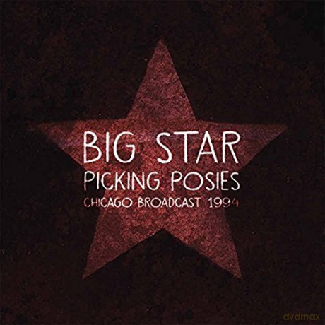Big Star: Picking Posies [2xWinyl]