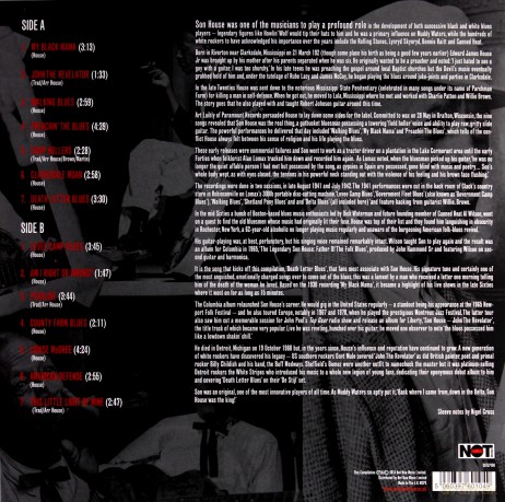Son House: Raw Delta Blues Best Of [Winyl]