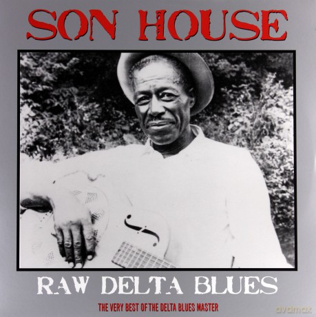 Son House: Raw Delta Blues Best Of [Winyl]
