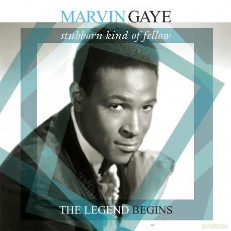 Marvin Gaye: Stubborn Kind Of Fellow - The Legend Begins [Winyl]