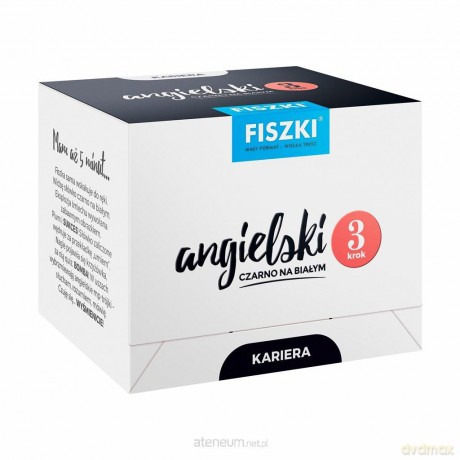 Angielski czarno na białym FISZKI - Kariera - 3 - Patrycja Wojsyk [KSIĄŻKA]