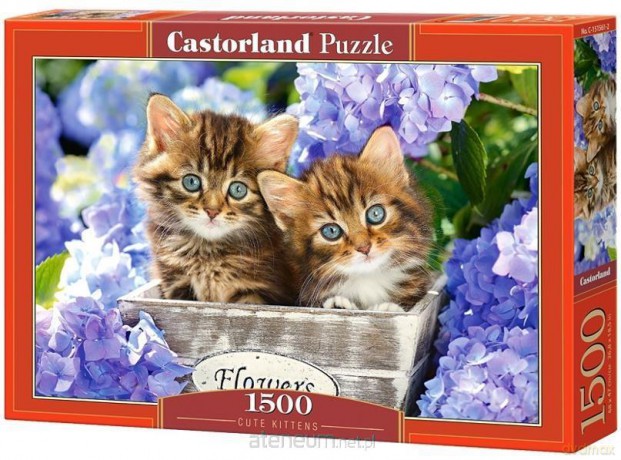CASTOR 1500 el. Cute Kittens [PUZZLE]