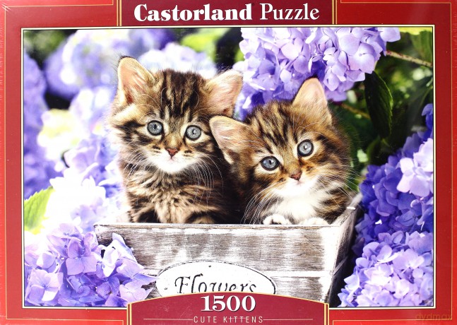 CASTOR 1500 el. Cute Kittens [PUZZLE]