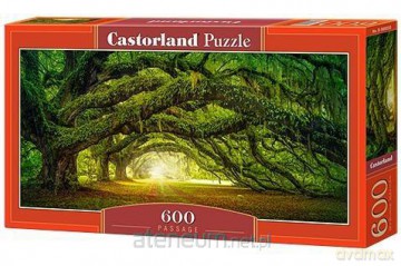 CASTOR 600 el. Passage [PUZZLE]