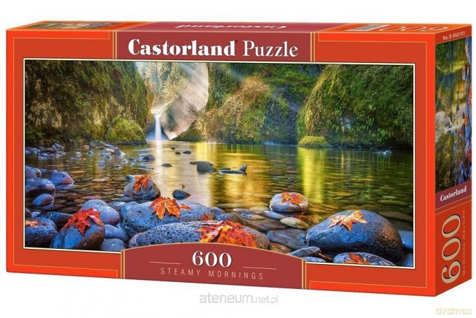 CASTOR 600 el. Steamy Mornings [PUZZLE]