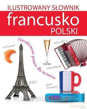 Ilustrowany słownik francusko-polski - Tadeusz Woźniak [KSIĄŻKA]