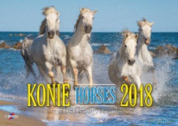 Kalendarz 2018 KA-10 Konie [KALENDARZ]