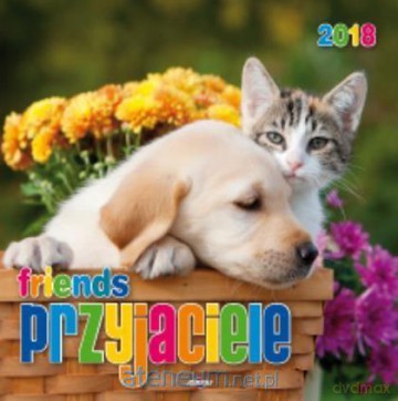 Kalendarz 2018 KD-19 Przyjaciele [KALENDARZ]