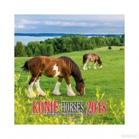 Kalendarz 2019 KD-22 Konie [KALENDARZ]