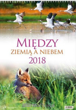 Kalendarz 2018 Ścienny - Między ziemią a niebem [KALENDARZ]