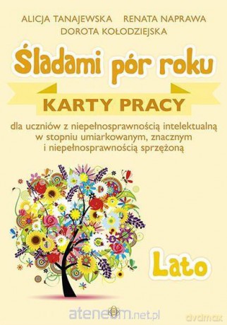 Śladami pór roku - Lato. Karty pracy [KSIĄŻKA]