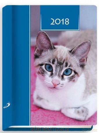 Terminarz 2018 - B7 Kolorowy - kot [KALENDARZ]