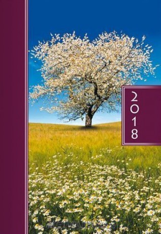 Terminarz 2018 A5 kolor - drzewo [KALENDARZ]