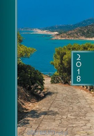 Terminarz 2018 A5 kolor - zejście do jeziora [KALENDARZ]