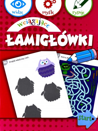 Wciągające łamigłówki - Anna Wiśniewska [KSIĄŻKA]