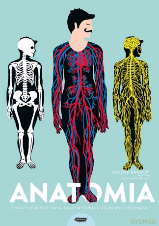 Anatomia. Obraz ludzkiego ciała na wyjątkowych ażurowych rycinach - Helene Druvert [KSIĄŻKA]