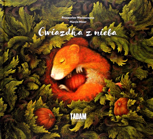 Gwiazdka z nieba - Przemysław Wechterowicz [KSIĄŻKA]