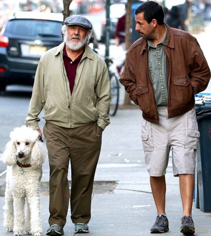 The Meyerowitz Stories soundtrack [CD]