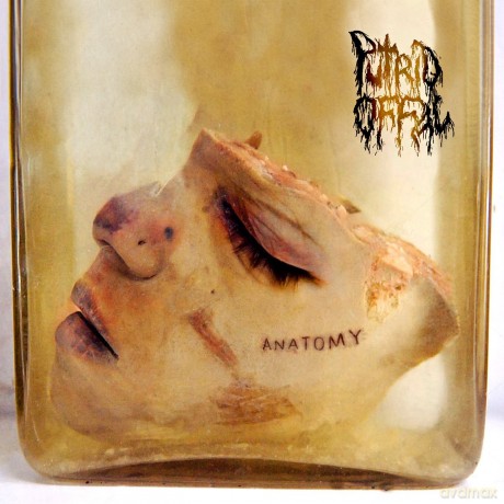 Putrid Offal: Anatomy (digipack) [CD]