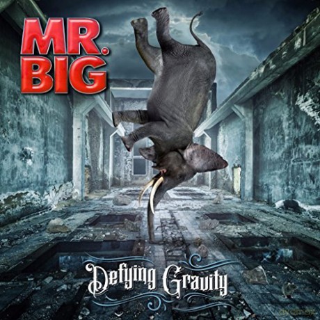 Mr Big: Defying Gravity Fanbox [BOX] [CD]
