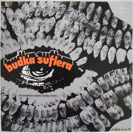 Budka Suflera: Przechodniem Bylem Miedzy Wami [Winyl]