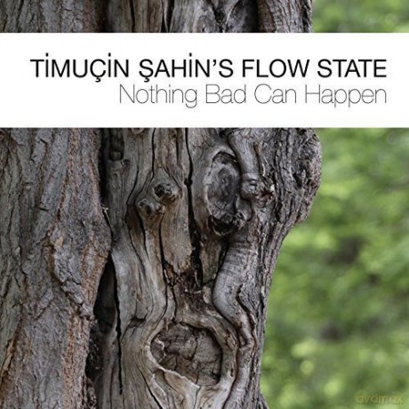 Timucin Sahin's Flow State: Nothing Bad Can Happen [CD]