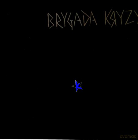 Brygada Kryzys: Brygada Kryzys [Winyl]