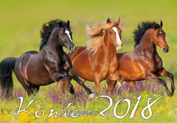 Kalendarz 2018 Konie KA2 [KALENDARZ]