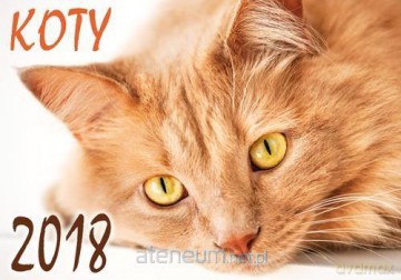 Kalendarz 2018 Koty KA4 [KALENDARZ]