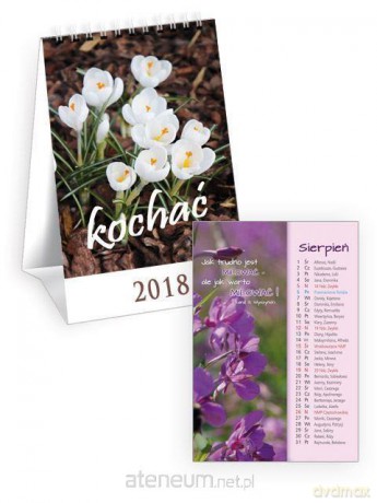 Kalendarz 2018 na biurko - Kochać [KALENDARZ]