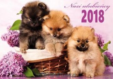 Kalendarz 2018 Nasi Ulubieńcy KA3 [KALENDARZ]