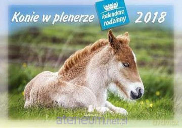 Kalendarz rodzinny 2018 - Konie w plenerze WL10 [KALENDARZ]