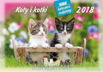Kalendarz rodzinny 2018 - Koty i kotki WL9 [KALENDARZ]