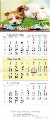 Kalendarz trójdzielny 2018 - Maluchy KT18 [KALENDARZ]