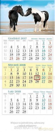 Kalendarz trójdzielny 2018 - Plaża KT19 [KALENDARZ]