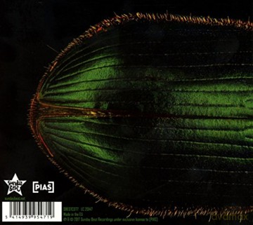 Mary Epworth: Elytral (digipack) [CD]