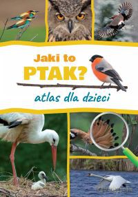 Jaki to ptak. Atlas dla dzieci - Dominik Marchowski [KSIĄŻKA]