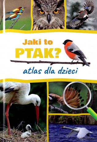 Jaki to ptak. Atlas dla dzieci - Dominik Marchowski [KSIĄŻKA]