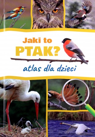 Jaki to ptak. Atlas dla dzieci - Dominik Marchowski [KSIĄŻKA]
