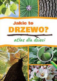 Jakie to drzewo. Atlas dla dzieci - Aleksandra Halarewicz [KSIĄŻKA]