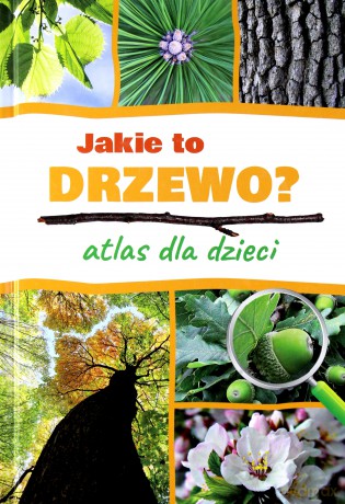 Jakie to drzewo. Atlas dla dzieci - Aleksandra Halarewicz [KSIĄŻKA]