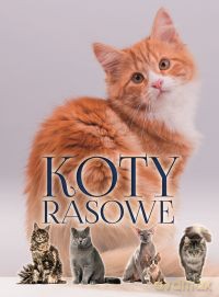 Koty rasowe [KSIĄŻKA]