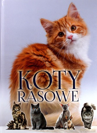 Koty rasowe [KSIĄŻKA]