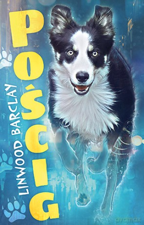 Pościg - Linwood Barclay [KSIĄŻKA]