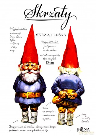 Skrzaty - Wil Huygen [KSIĄŻKA]