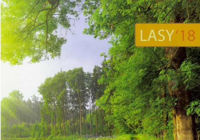 Kalendarz 13 Plansz 2018 - Las [KALENDARZ]