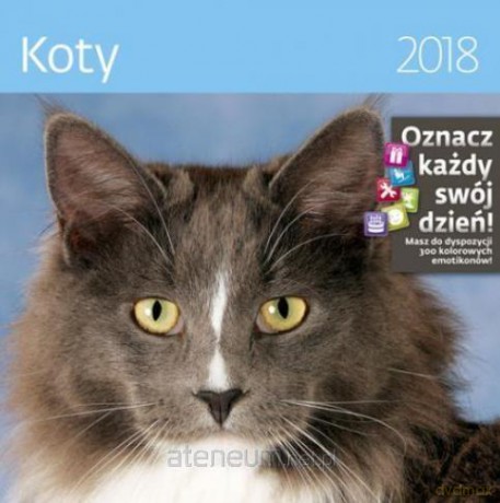 Kalendarz 2018 30x30 Koty [KALENDARZ]