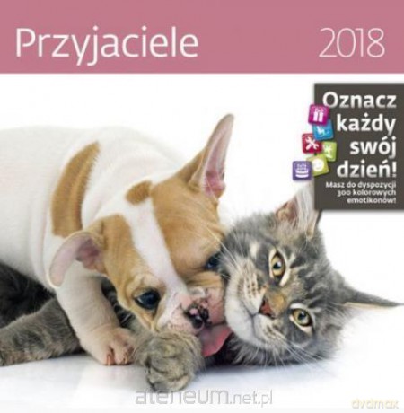 Kalendarz 2018 30x30 Przyjaciele [KALENDARZ]